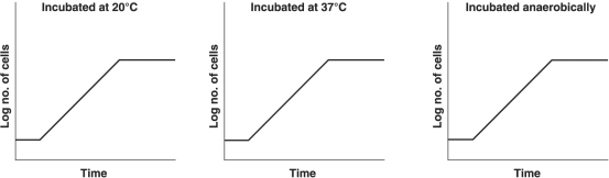 Figure 6.4 In each graph in Figure 6.4, the culture was incubated at 30°C in glucose- minimal salts broth, aerobically. The bacterium is a facultative anaerobe with an optimum temperature of 37°C and can metabolize glucose and lactose. Indicate how each growth curve would change under the conditions indicated in each graph. Draw the new graphs, or write no change.