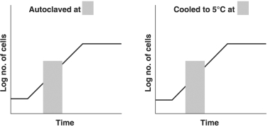 Figure 6.4 In each graph in Figure 6.4, the culture was incubated at 30°C in glucose- minimal salts broth, aerobically. The bacterium is a facultative anaerobe with an optimum temperature of 37°C and can metabolize glucose and lactose. Indicate how each growth curve would change under the conditions indicated in each graph. Draw the new graphs, or write no change.