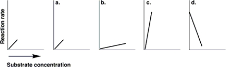 <strong>Figure 5.7 The graph at the left in Figure 5.7 shows the reaction rate for an enzyme at its optimum temperature. Which graph shows enzyme activity at a higher temperature?</strong> A) a B) b C) c D) d