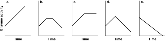<strong>Figure 5.5 Which of the graphs in Figure 5.5 best illustrates the activity of an enzyme that is saturated with substrate?</strong> A) a B) b C) c D) d E) e