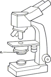 <strong>Figure 3.1   In Figure 3.1, line c points to the microscope's</strong> A) illuminator. B) ocular lens. C) objective lens. D) condenser. <div style=padding-top: 35px> 