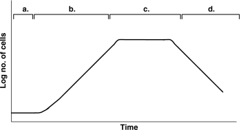 <strong>Figure 28.1 In Figure 28.1, assume the cells are your desired product and you want to maintain a continuous culture. When would you harvest cells to maximize your yield?</strong> A) a B) b C) c D) d