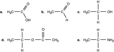 <strong>Figure 2.1 Which compound in Figure 2.1 is an ester?</strong> A) a B) b C) c D) d E) e