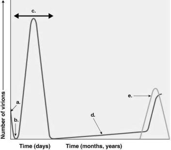 <strong>Figure 13.2 Assume a patient has influenza. During which time on the graph in Figure 13.2 would the patient show the symptoms of the illness?</strong> A) a B) b C) c D) d E) e