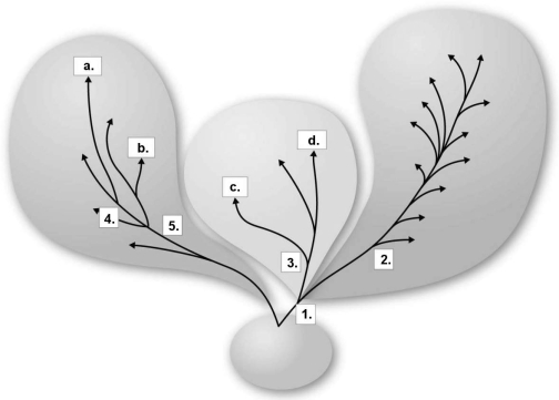 <strong>Figure 10.1 In Figure 10.1, species c. is most closely related to which of the following?</strong> A) a B) b C) c D) d E) e