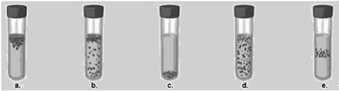 <strong>Figure 6.3 In Figure 6.3, which tube shows the expected growth pattern for a microaerophile?</strong> A) a B) b C) c D) d E) e