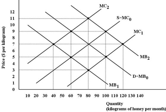 <strong>The diagram below shows the supply and demand diagrams for the competitive market for honey in one region.MC0 represents private marginal cost and MB0 represents private marginal benefit. FIGURE 16-3 Refer to Figure 16-3. Assume there are two types of firms in this region - beekeepers that produce honey and orchard keepers that produce peaches. The bees provide a benefit to the orchard keepers by pollinating their peach trees. We can say that there is a ________ externality in the production of honey. The curve ________represents the ________ marginal benefit of honey.</strong> A)positive; MB1; social B)negative; MB1; private C)negative; MB2; social D)positive; MB2; social E)positive; MB2; private