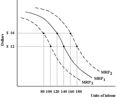 The diagram below shows the MRP curve for a firm producing copper plumbing pipe.The factor of production being considered here is hours of labour. FIGURE 13-1 -Refer to Figure 13-1.Suppose this firm initially has the marginal revenue product curve MRP1.One reason that the curve could shift to MRP3 is