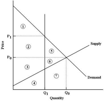 <strong>The diagram below shows the market for litres of milk. FIGURE 5-8 Refer to Figure 5-8.After the imposition of a milk quota at quantity Q1,economic surplus is represented by</strong> A)areas 1,2 and 5. B)areas 3 and 4. C)areas 1,2 and 3. D)areas 1,2,3,4,5,6 and 7. E)areas 2,3,5 and 6.