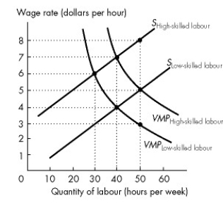 <strong>Use the figure below to answer the following questions.   Figure 19.3.5 Refer to Figure 19.3.5.This figure shows the labour supply curves and the value of marginal product curves for high-skilled and low-skilled workers.The equilibrium wage rate for high-skilled workers is</strong> A)$5 an hour. B)$4 an hour. C)$6 an hour. D)$8 an hour. E)$7 an hour. <div style=padding-top: 35px> 