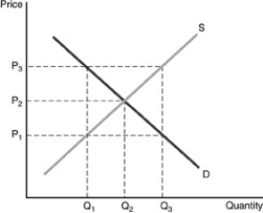    -Refer to the above figure.A price support set at  \mathrm { P } _ { 3 }  will 