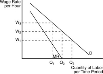 -In the above figure,if the union has Q<sub>2</sub> members and wants to ensure that all members have jobs,it will set wage equal to