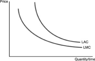 <strong>  Refer to the above figure.The long-run average cost curve and the long-run marginal cost curves represent</strong> A)the cost curves for a competitive firm. B)the cost curves for a natural monopoly. C)a situation where a firm has control over the raw materials. D)a situation where a firm has a patent. <div style=padding-top: 35px> 