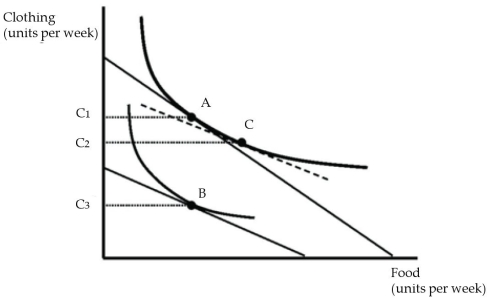 <strong> Figure 4.2 A consumer's original utility maximizing market basket of goods is shown in Figure 4.2 as point A. Following a price change, the consumer's utility maximizing market basket is at point B. Refer to Figure 4.2. The income effect on the quantity of clothing purchased is:</strong> A) the change from C1 to C3. B) the change from C1 to C2. C) the change from C2 to C3. D) the change from C3 to C2. E) none of the above