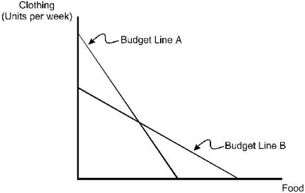 <strong>Theodore's budget line has changed from A to B. Which of the following explains the change in Theodore's budget line? </strong> A) The price of food and the price of clothing increased. B) The price of food increased, and the price of clothing decreased. C) The price of food decreased, and the price of clothing increased. D) The price of food and the price of clothing decreased. E) none of the above