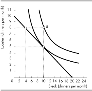 -The above figure shows Jane's budget line and two of her indifference curves. How many steak dinners will Jane purchase each month?