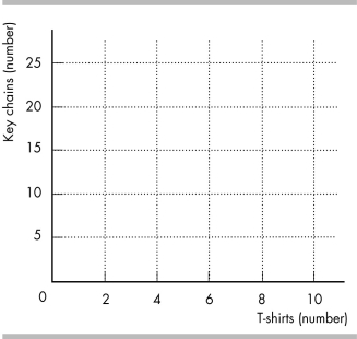-Sherry is on vacation and wants to bring souvenirs home to family and friends. Her souvenir budget is $100, and she can choose between T-shirts, which cost $20 each, and key chains, which cost $5 each. a) Draw a graph of Sherry's budget line in the figure above. b) What is the slope of Sherry's budget line? How does that slope represent an opportunity cost? Suppose that Sherry now finds a store where T-shirts are on sale for $10 each. (Key chains still cost $5 each). c) Draw the new budget line in the figure. d) What is the slope of the new budget line? How has the opportunity cost changed?