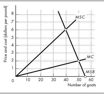   -The above figure shows the marginal private cost curve, marginal social cost curve, and marginal social benefit curve for raising goats on a common pasture. The market equilibrium with no government intervention is raising ________.