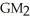 Balance Sheet for year-ended Dec 31 ($000's) -Blockbuster Inc. Income Statement for year-ended Dec 31 ($000's) Referring to the Blockbuster financial statements,what is the change in Gross Margin from Year 1 to Year 2? (ΔGM = - )