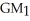 Balance Sheet for year-ended Dec 31 ($000's) -Blockbuster Inc. Income Statement for year-ended Dec 31 ($000's) Referring to the Blockbuster financial statements,what is the change in Gross Margin from Year 1 to Year 2? (ΔGM = - )