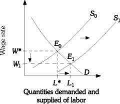 In the following figure, the supply of labor has increased as illustrated by the rightward shift in the supply curve from S0 to S1 . The increase in labor supply lowers the equilibrium wage rate from W* to W1 which results in greater quantities supplied and demanded to L1 .     In the following figure, the demand for labor has increased as illustrated by the rightward shift in the demand curve from D0 to D1 . This results in an increase in the equilibrium wage rate to W1 and additional quantities demanded and supplied to L1 .  