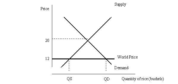 The U.S. market for rice is shown below. The world price of rice is $12 per bushel and the U.S. can buy all of the rice that it wants at that price. The government places a tax on imported rice of $2 per bushel. Show the effect of this tax on the graph above. What will happen to the amount of rice the U.S. imports?
