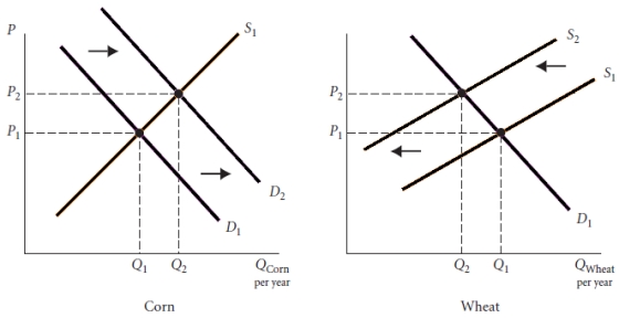 Assume that a farmer could just as easily plan corn as well as wheat. Explain what would happen using a supply and demand graph for both markets if suddenly there was a sustained increase in the demand for corn.