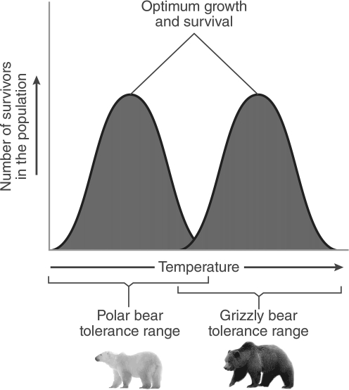 <strong>  All of the following are physical limiting factors affecting survival and growth of an organism except .</strong> A) temperature B) salinity C) predation D) sunlight <div style=padding-top: 35px> 