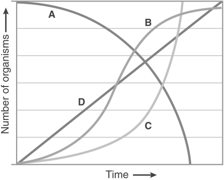 <strong>  Which of these lines depicts a population being affected by limited resources?</strong> A) A B) B C) C D) D <div style=padding-top: 35px> 