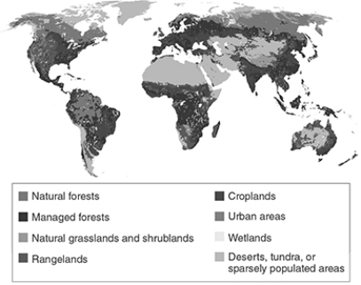 <strong>  Desertification of dry ecosystems is usually caused by a combination of factors, including all of the following except .</strong> A) drought B) crop production in areas too dry to support grazing C) overgrazing D) poor irrigation practices <div style=padding-top: 35px> 