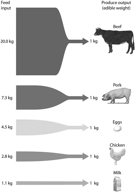 <strong>  In 1950, 29% of the world population lived in urban areas. Today, live in urban areas, with that number growing annually.</strong> A) 45% B) 35% C) 51% D) 81% <div style=padding-top: 35px> 