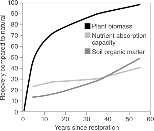 <strong> Which of the following conclusions can be drawn from this graph depicting recovery after wetland restoration?</strong> A) Soil organic matter and nutrient absorption are much easier to accomplish than improvements in biomass. B) Soils are more important to wetland restoration than are plants. C) It takes 10 to 20 years after wetland restoration for a wetland to be fully functional. D) Plant biomass recovers relatively rapidly in restored wetlands.