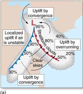 <strong>This midlatitude cyclone </strong> A)has not yet begun to develop. B)is beginning the process of cyclogenesis. C)is in the mature stage. D)is dissipating.