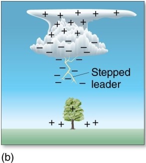 <strong>The stepped-leader </strong> A)moves downward in one continuous movement. B)occurs after the formation of the return stroke. C)creates the pathway for the flow of electrons. D)has no similarities to a dart leader.