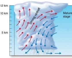 Explain how downdrafts create the strong precipitation within air mass thunderstorms,yet also cause the storm to die out.