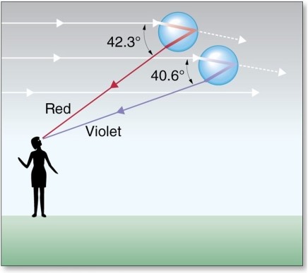 <strong>The optics of rainbow formation involve </strong> A)reflection only. B)refraction only. C)both reflection and refraction. D)neither reflection nor refraction.
