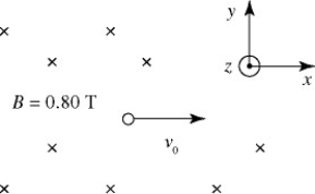 A uniform magnetic field of magnitude 0.80 T in the negative z-direction is present in a region of space, as shown in the figure. A uniform electric field is also present. An electron that is projected with an initial velocity v<sub>0</sub> = 9.1 × 10<sup>4</sup> m/s in the positive x-direction passes through the region without deflection. What is the electric field vector in the region?