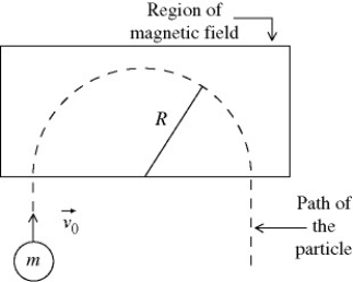 As shown in the figure, a small particle of charge q = -7.0 × 10<sup>-6</sup> C and mass m = 3.1 × 10<sup>-12</sup> kg has velocity v<sub>0</sub> = 9.4 × 10<sup>3</sup> m/s as it enters a region of uniform magnetic field. The particle is observed to travel in the semicircular path shown, with radius R = 5.0 cm. Calculate the magnitude and direction of the magnetic field in the region.