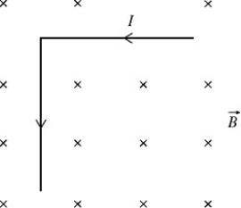 <strong>An L-shaped metal machine part is made of two equal-length segments that are perpendicular to each other and carry a 4.50-A current as shown in the figure. This part has a total mass of 3.80 kg and a total length of 3.00 m, and it is in an external 1.20-T magnetic field that is oriented perpendicular to the plane of the part, as shown. What is the magnitude of the NET magnetic force that the field exerts on the part? </strong> A) 8.10 N B) 11.5 N C) 16.2 N D) 22.9 N E) 32.4 N