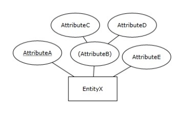 <strong>How many columns will a relation resulting from mapping the Entity X have? </strong> A)2 B)3 C)4 D)5