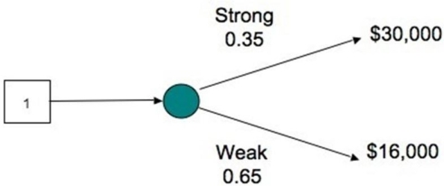 <strong>The decision tree shows the profit outcomes for a toy store in a strong and a weak economy for next year.If the economy turns out to be weak, how much profit is the store likely to lose out? </strong> A)$14,000 B)$16,000 C)$30,000 D)$15,000