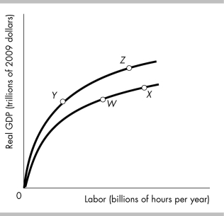 <strong> The country of Kemper is on its aggregate production function at point W in the above figure. If the population increases with no change in capital or technology, the economy will</strong> A) move to point such as Y. B) remain at point W. C) move to point such as X. D) move to point such as Z.
