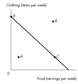 <strong>Use the figure below to answer the following questions. Figure 9.1.1 Shelly's budget line is shown in Figure 9.1.1.Which points are affordable given her income and current prices?</strong> A)A only B)B only C)C only D)D only E)A, C, and D