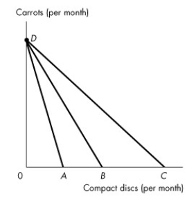 <strong>Use the figure below to answer the following questions. Figure 9.1.2 Refer to Figure 9.1.2.Which budget line has the lowest relative price for carrots?</strong> A)AD B)BD C)CD D)The relative price is equal for all three budget lines. E)Cannot be determined without studying the indifference curves.