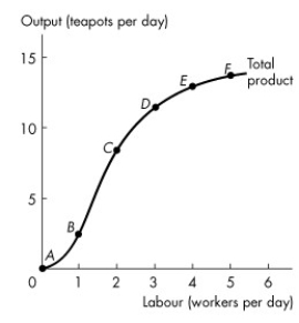 <strong>Use the figure below to answer the following questions. Figure 11.2.1 Refer to Figure 11.2.1 which illustrates Tania's total product curve.Which one of the following statements is true?</strong> A)The points above the curve are attainable and inefficient. B)The points below the curve are attainable and inefficient. C)The points below the curve are inefficient and unattainable. D)The points on the curve are efficient and unattainable. E)Marginal product is equal at every point on the total product curve.