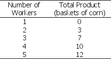 <strong>Use the table below to answer the following question. Table 11.2.4 Refer to Table 11.2.4.The table gives the total product schedule of workers who harvest corn.Diminishing marginal returns begin when the ________ is hired.</strong> A)1st labourer B)2nd labourer C)3rd labourer D)4th labourer E)There are no diminishing marginal returns since total product always rises.