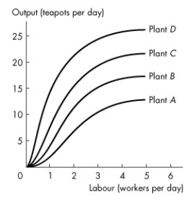 Use the figure below to answer the following questions. Figure 11.4.1 -Refer to Figure 11.4.1 which shows the total product curves for four different plant sizes as Tania varies the quantity of capital and workers.The curve that represents the plant using the largest amount of capital is