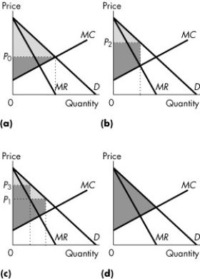 <strong>Use the figure below to answer the following questions.   Figure 13.3.2 Consider Figure 13.3.2.Consider a perfectly competitive market.If the light grey area shows the consumer surplus, and the dark grey area shows the producer surplus, which graph correctly represents this market?</strong> A)(a) B)(b) C)(c) D)(d) E)(b)and (d) <div style=padding-top: 35px> 