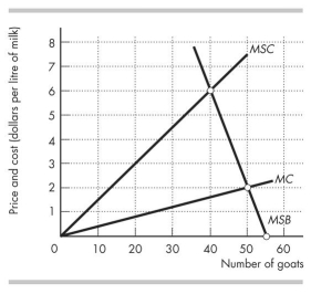 Use the figure below to answer the following questions. Figure 17.3.2 -Figure 17.3.2 shows the marginal private cost curve, marginal social cost curve, and marginal social benefit curve for raising goats on a common pasture.A quota that results in the common resource being used efficiently is set at