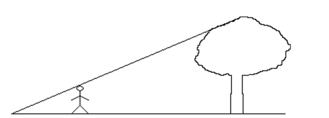 Solve the problem. -Hye-Ran, who is 1.60 m tall, wishes to find the height of a tree with a shadow 30.06 m long. She Walks 21.65 m from the base of the tree along the shadow of the tree until her head is in a position Where the tip of her shadow exactly overlaps the end of the tree topʹs shadow. How tall is the tree? Round to the nearest hundredth.  